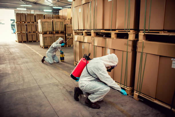 Best Local Pest Control Services  in Indian River Estates, FL