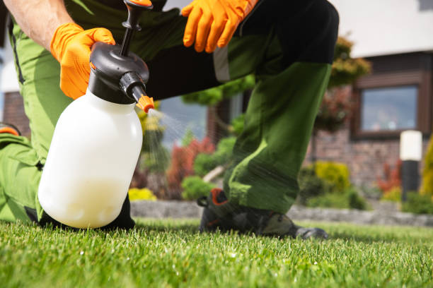 Best Best Pest Control Companies  in Indian River Estates, FL