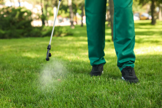 Professional Pest Control in Indian River Estates, FL