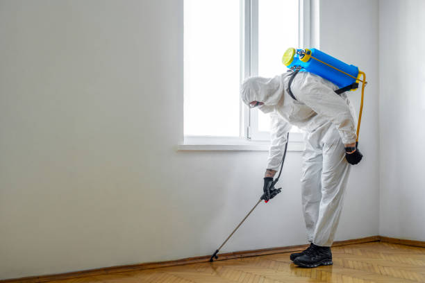 Best Pest Removal Services  in Indian River Estates, FL